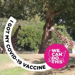 Meet your Posher, Penny